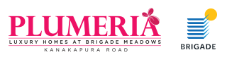 Welcome to Plumeria at Brigade Meadows